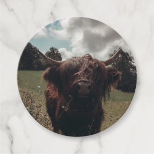 Black highland Scottish cow grazing vintage retro Favour Tags