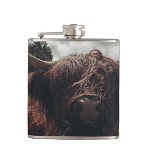 Black highland Scottish cow grazing vintage retro Hip Flask