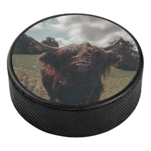 Black highland Scottish cow grazing vintage retro Hockey Puck
