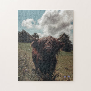 Black highland Scottish cow grazing vintage retro Jigsaw Puzzle