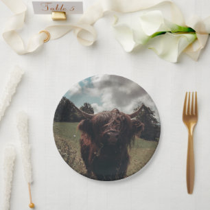 Black highland Scottish cow grazing vintage retro Paper Plate