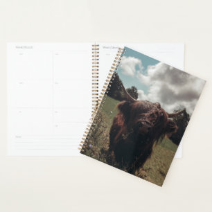 Black highland Scottish cow grazing vintage retro Planner