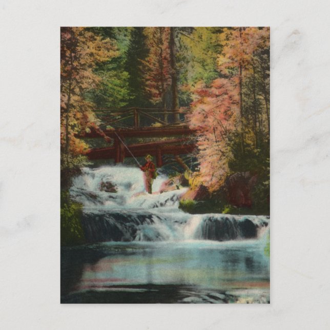 Black Hills Fisherman Vintage Postcard (Front)