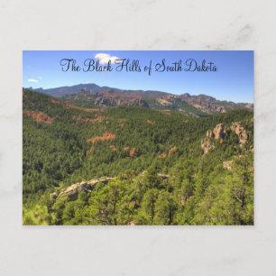 Black Hills South Dakota Postcard