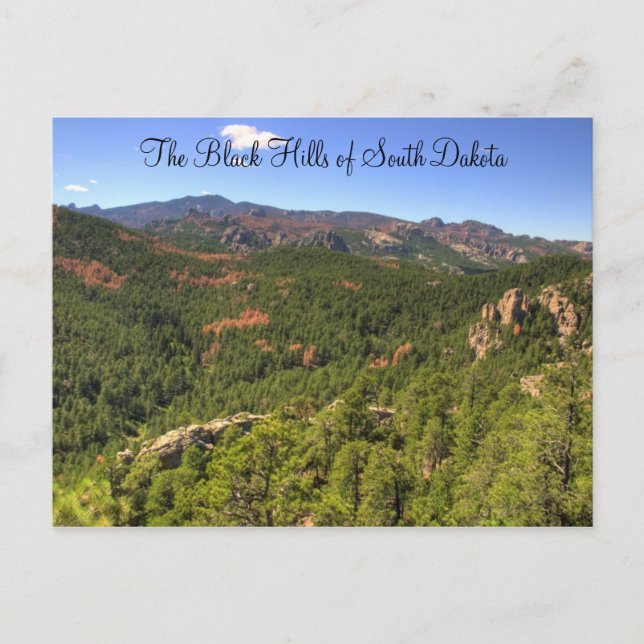 Black Hills South Dakota Postcard (Front)