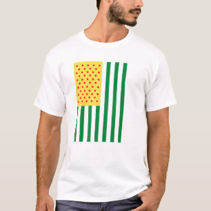 Black History Melanin Flag Men Women Kids Toddlers T-Shirt