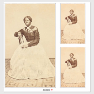 Black History: Young Harriet Tubman, Civil Rights
