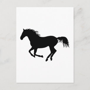 Black horse 1 postcard