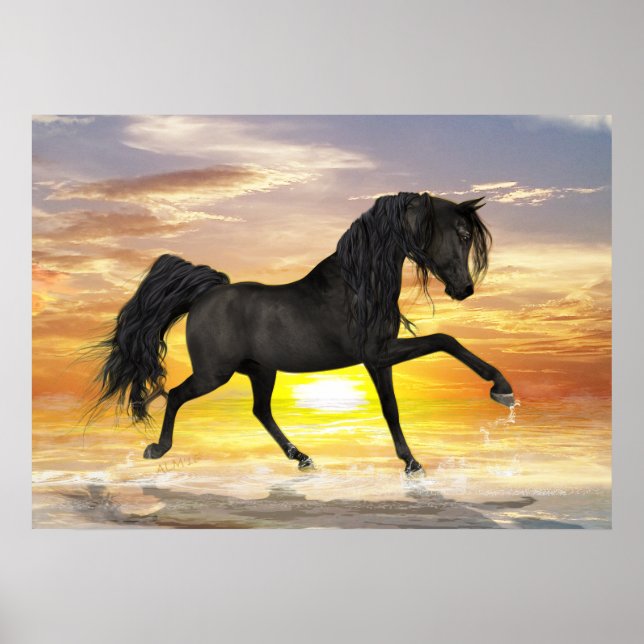 Black Horse 28" x 20", Value Poster (Matte) (Front)