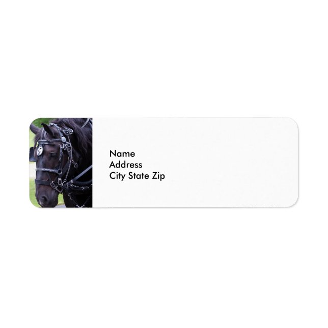 Black Horse 384 (Front)