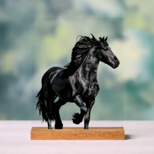 Black horse acrylic sign