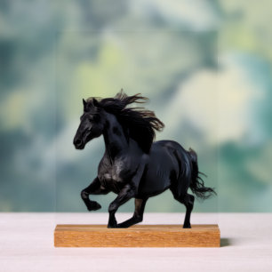 Black horse acrylic sign