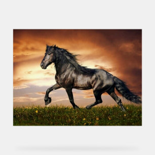 black horse acrylic sign