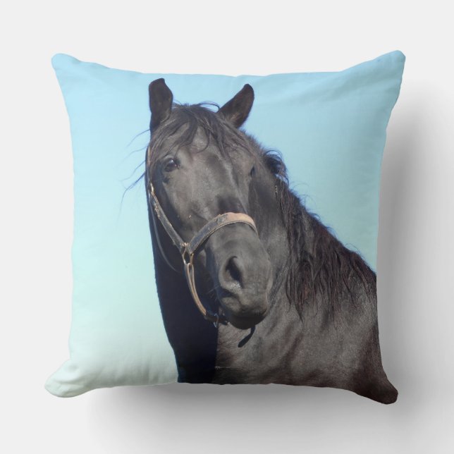 Black Horse And The Blue Sky Cushion (Front)