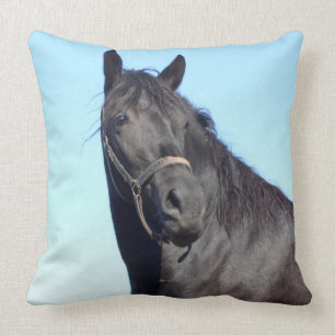Black Horse And The Blue Sky Cushion