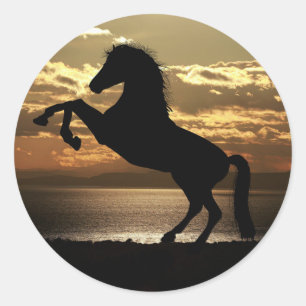 Black horse/ brown stickers. classic round sticker