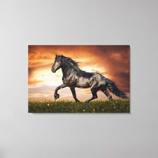 black horse canvas print (Front)