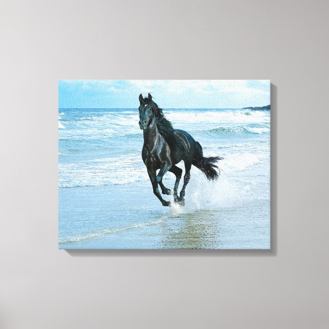 Black Horse canvas print (Front)