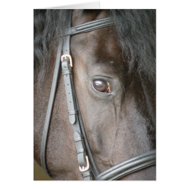 Black horse card (Front)