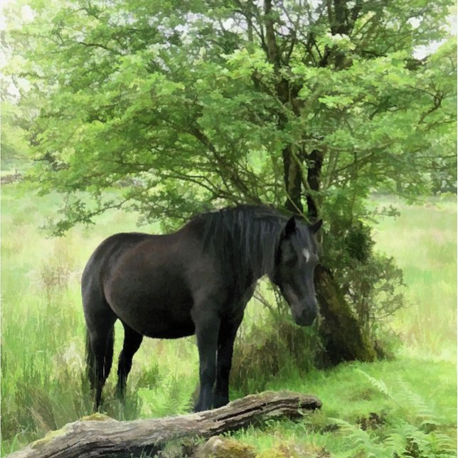 BLACK HORSE CERAMIC KNOB (A beautiful black mare resting in the shade of a tree.)