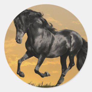 Black horse classic round sticker
