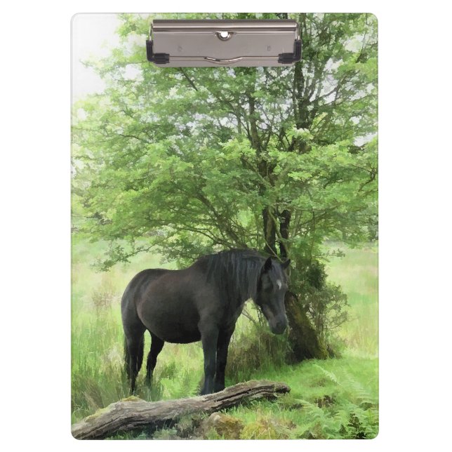 BLACK HORSE CLIPBOARD (Front)