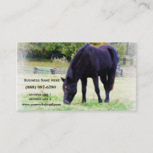 Black Horse Grazing Business Card