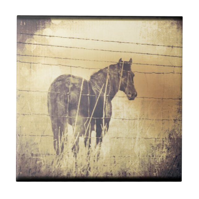 Black Horse Grunge Tile (Front)