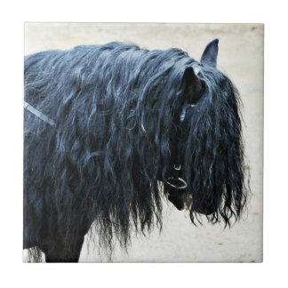 Black Horse Head Tile