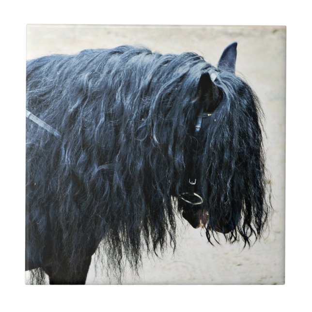 Black Horse Head Tile (Front)