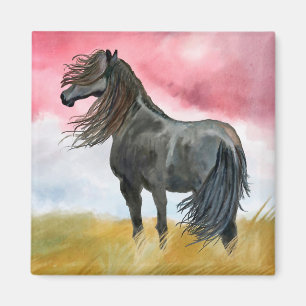 Black horse in Field Magnet