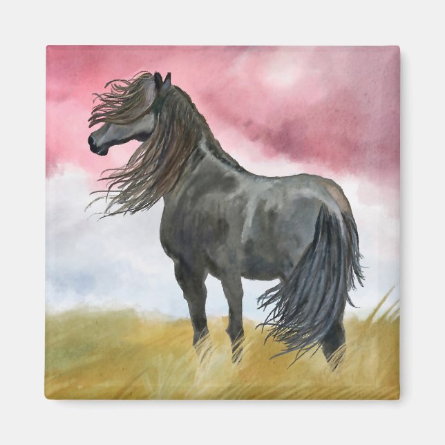 Black horse in Field Magnet (Front)