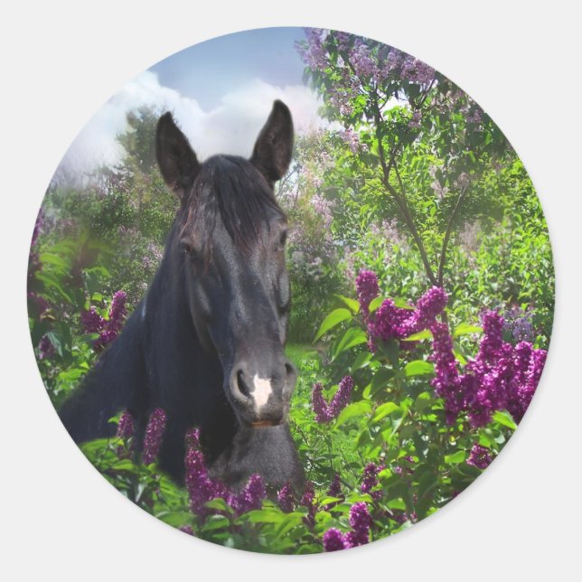 Black horse in lilacs classic round sticker (Front)