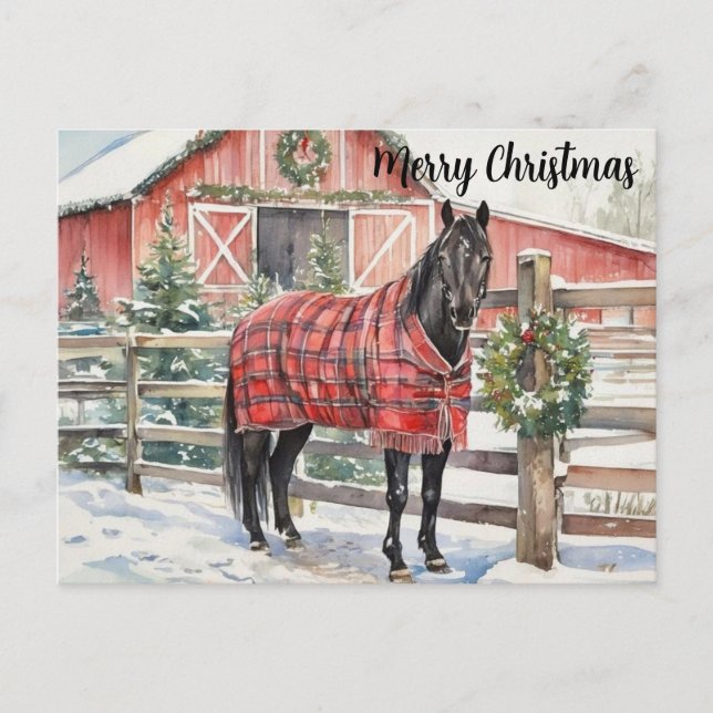 Black Horse Merry Christmas  Postcard (Front)