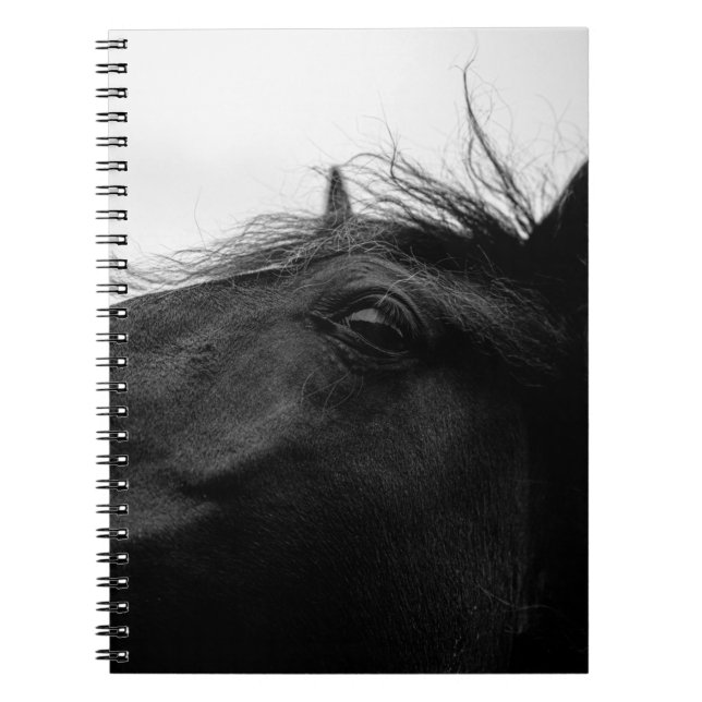 BLACK HORSE NOTEBOOK (Front)