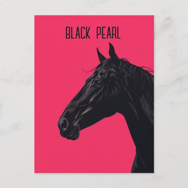 Black Horse Postcard (Front)