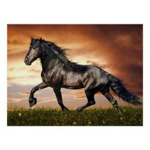 black horse poster