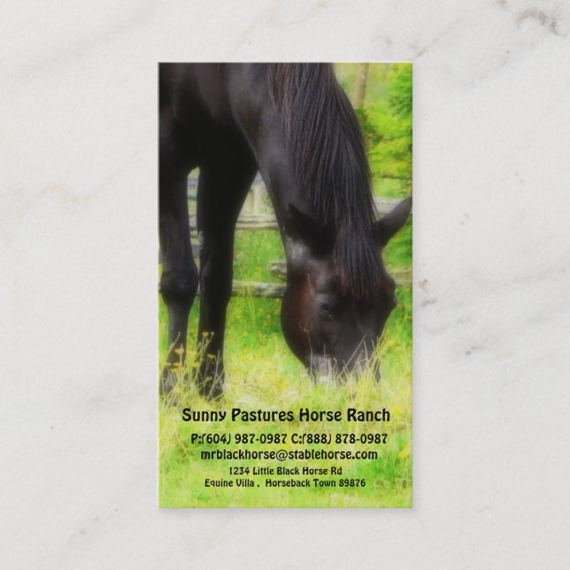 Black Horse Riding Stables Boarding or Farrier Business Card (Front)