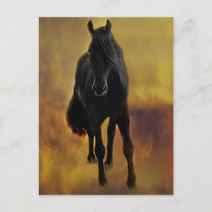 Black Horse Silhouette Postcard