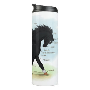 Black Horse with Star & Sock Anatomy Chart Thermal Tumbler