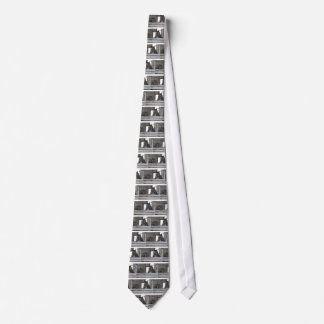 Black Horses/Ranch Tie