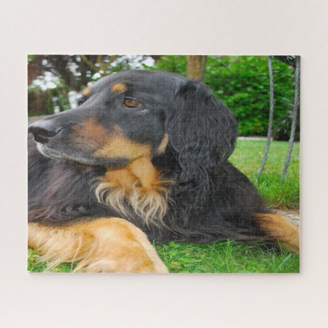 Black Hovawart Dog. Jigsaw Puzzle (Horizontal)