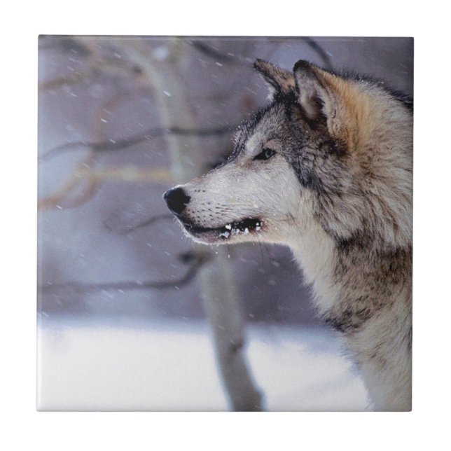 Black Husky Dog Products Tile (Front)