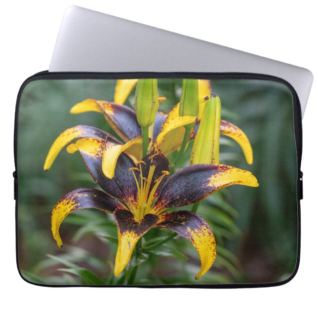 Black Hybrid Asiatic Lily, Dark Bloom Photo Laptop Sleeve (Front)