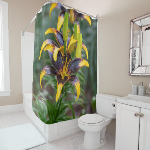 Black Hybrid Asiatic Lily, Flower Photography Shower Curtain