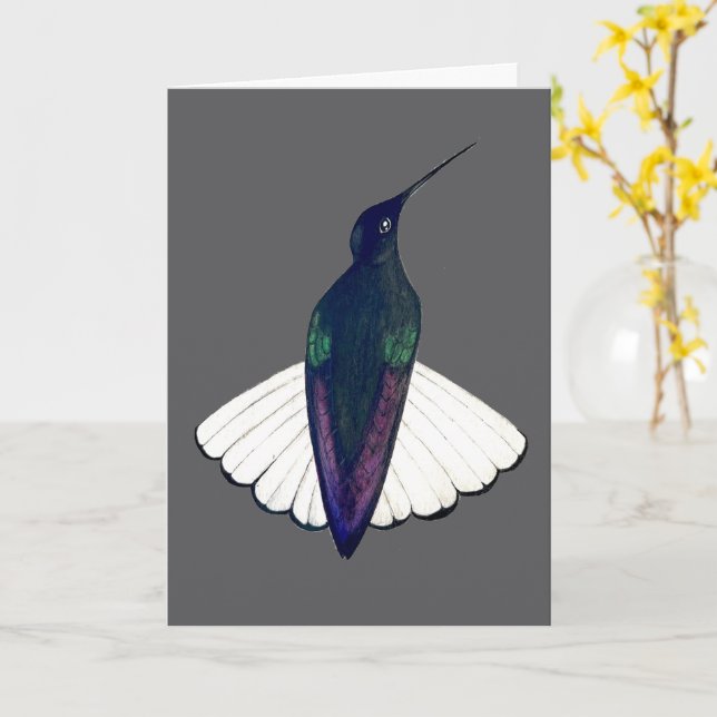 Black Jacobin Hummingbird  Card (Yellow Flower)