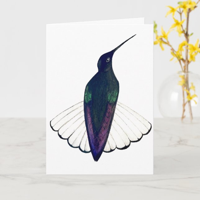 Black Jacobin Hummingbird  Card (Yellow Flower)