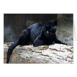 Black Jaguar