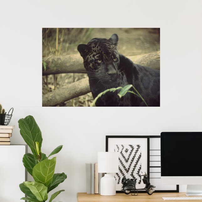 Black_jaguar art poster (Home Office)
