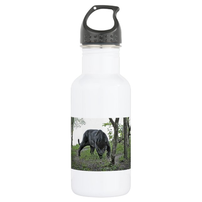 Black Jaguar Stalking 532 Ml Water Bottle (Front)
